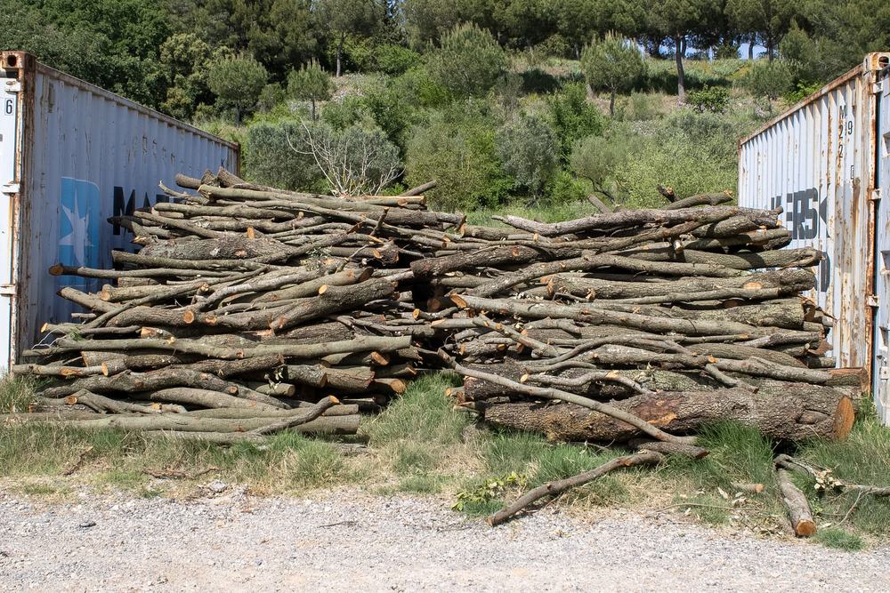 Troncs de roure apilats per a distribució — FustaGo Terrassa Vallès