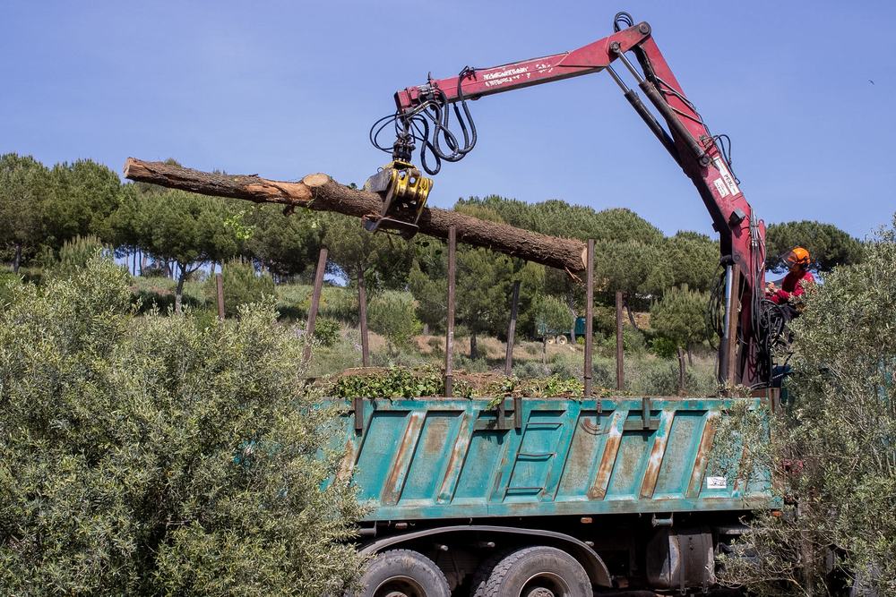 Llenya de roure i alzina a domicili al Vallès Occidental — FustaGo Terrassa