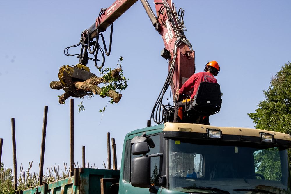 Equip FustaGo — Empresa familiar de Terrassa especialitzada en llenya de roure i alzina